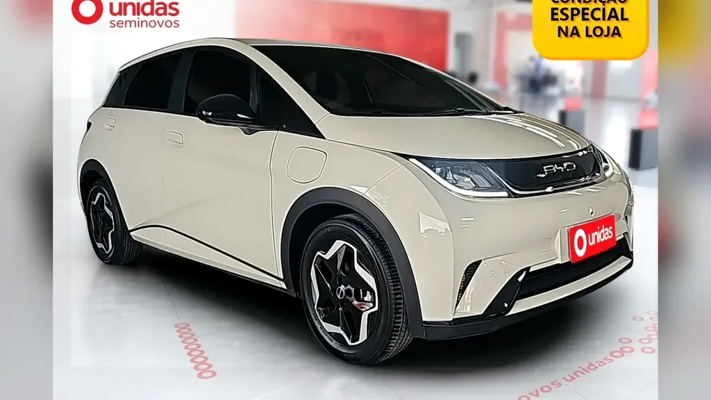 Foto de um byd dolphin