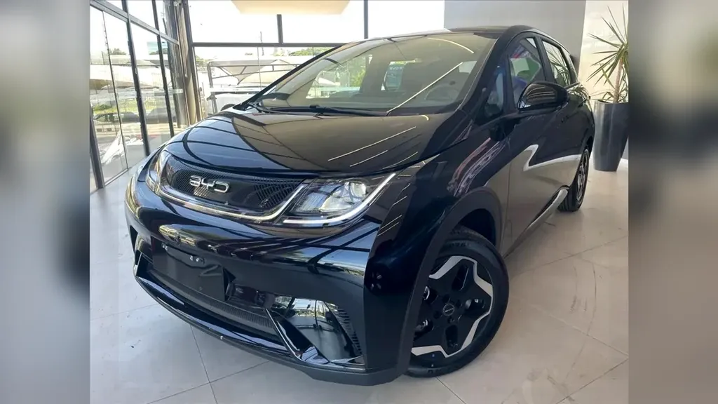 Foto de um byd dolphin