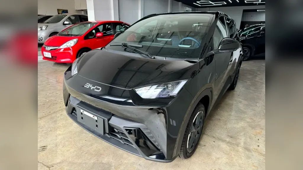 Foto de um byd dolphin mini