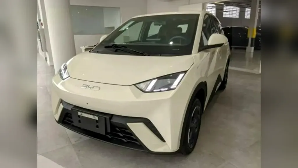 Foto de um byd dolphin mini