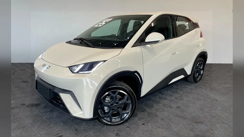 Foto de um byd dolphin mini