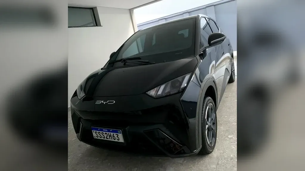 Foto de um byd dolphin mini