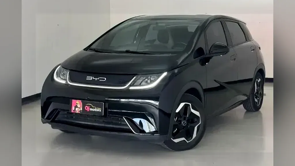 Foto de um byd dolphin