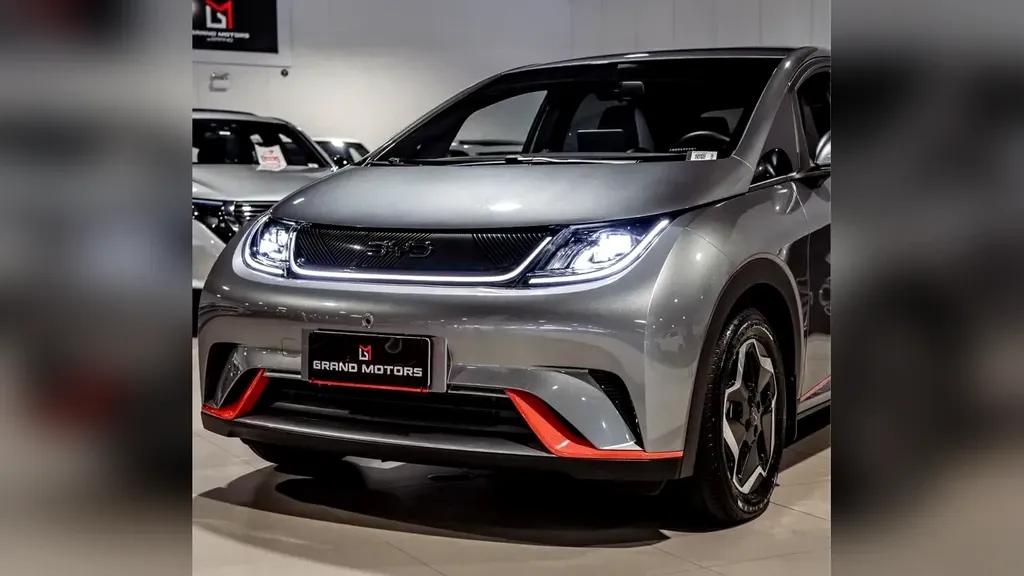 Foto de um byd dolphin