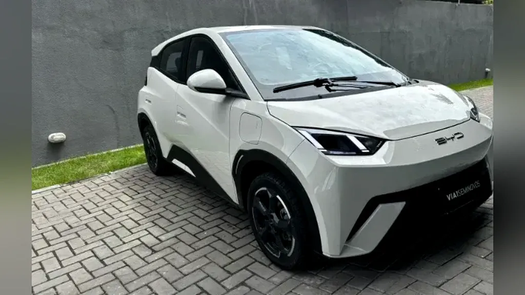 Foto de um byd dolphin mini