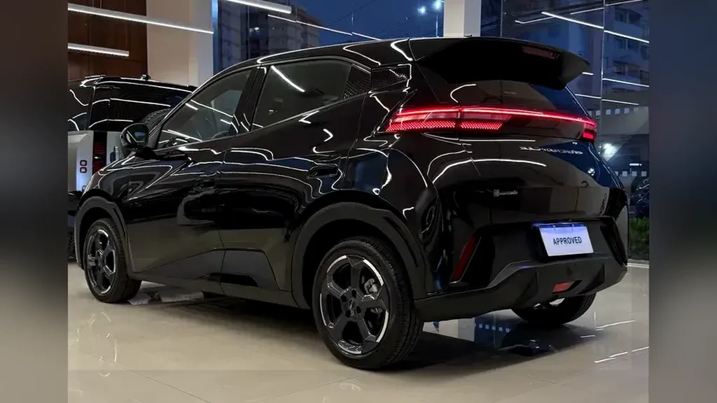 Foto de um byd dolphin mini