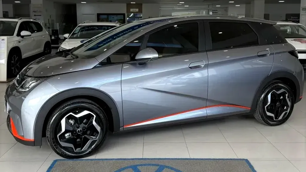 Foto de um byd dolphin