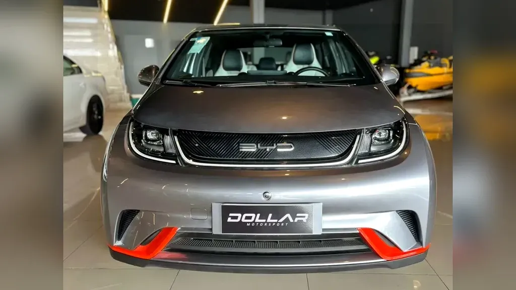 Foto de um byd dolphin