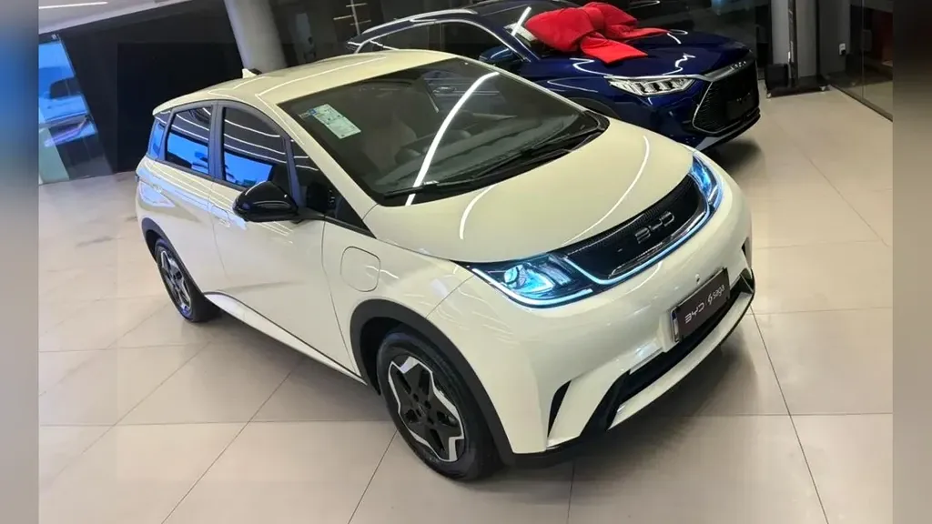 Foto de um byd dolphin