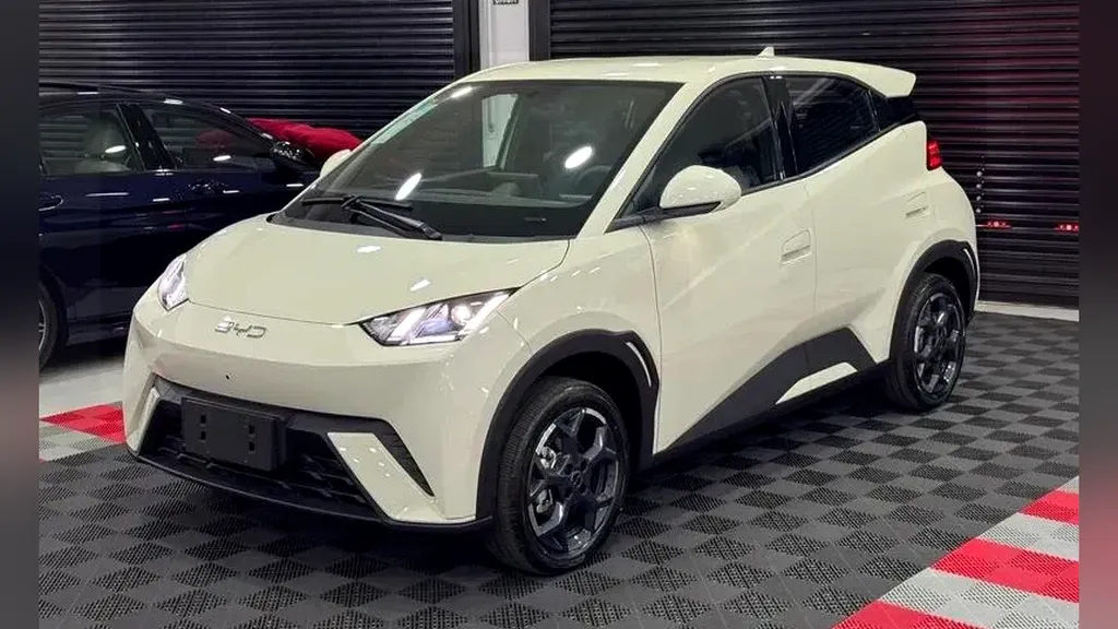 Foto de um byd dolphin mini