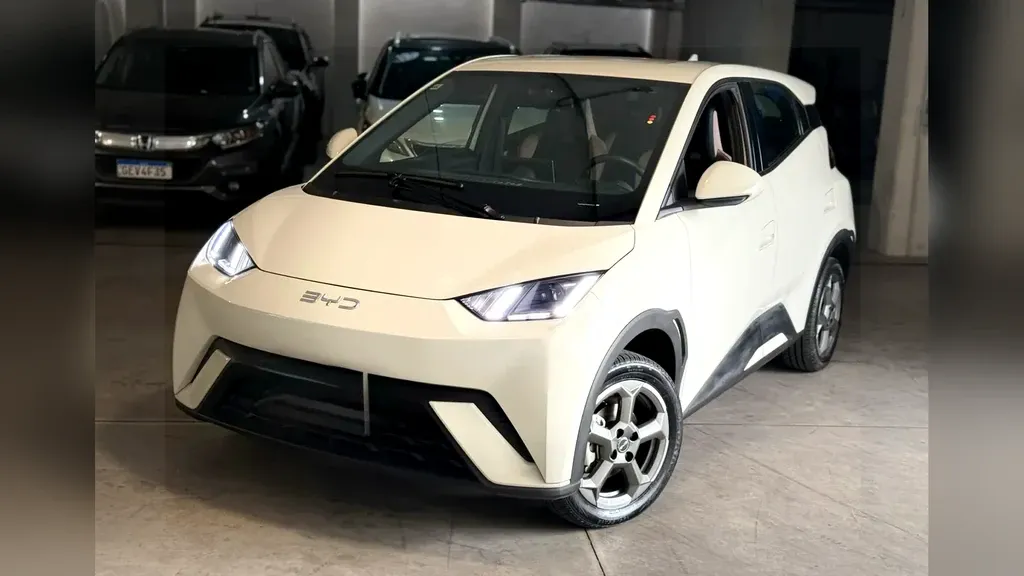 Foto de um byd dolphin mini