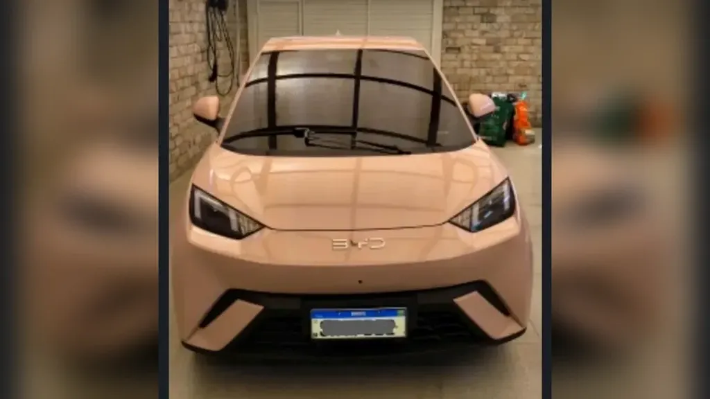 Foto de um byd dolphin mini