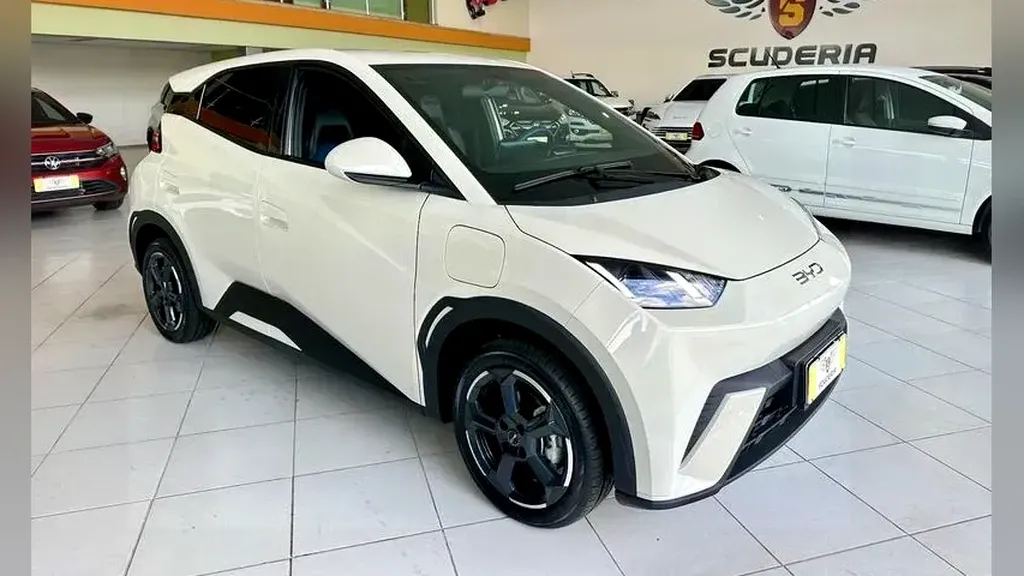 Foto de um byd dolphin mini