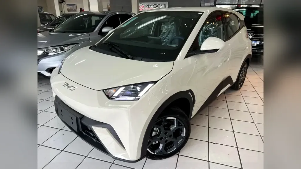 Foto de um byd dolphin mini