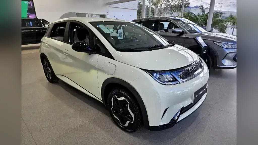 Foto de um byd dolphin