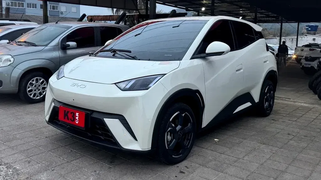 Foto de um byd dolphin mini