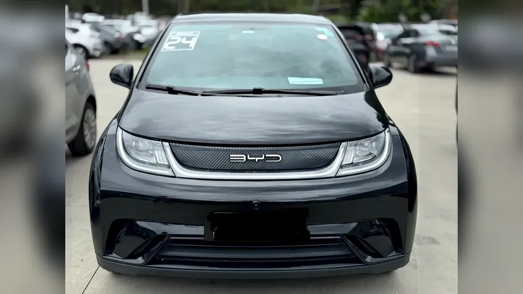 Foto de um byd dolphin