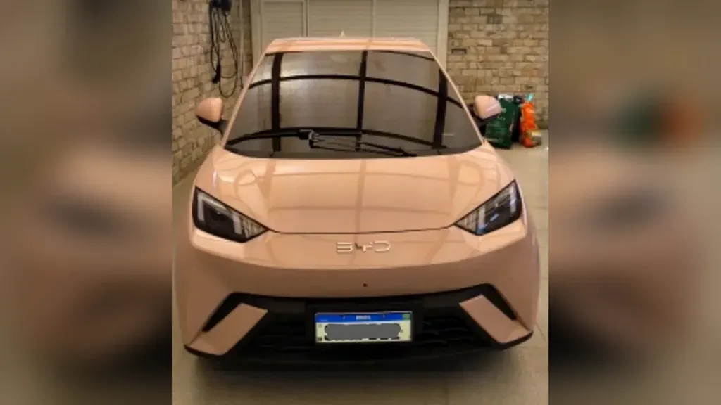 Foto de um byd dolphin mini