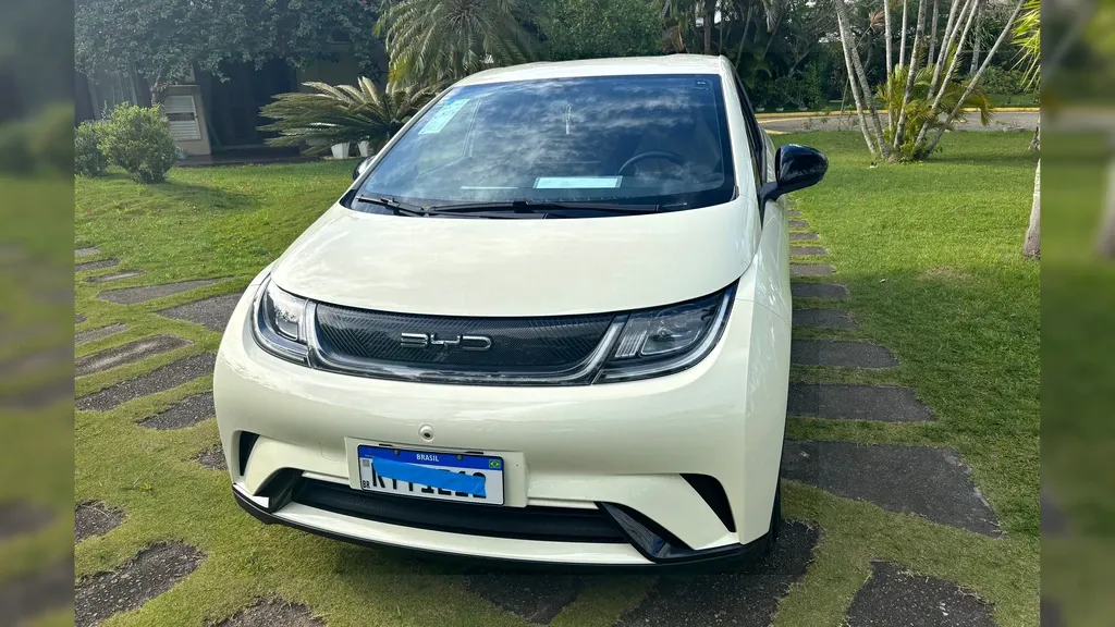 Foto de um byd dolphin