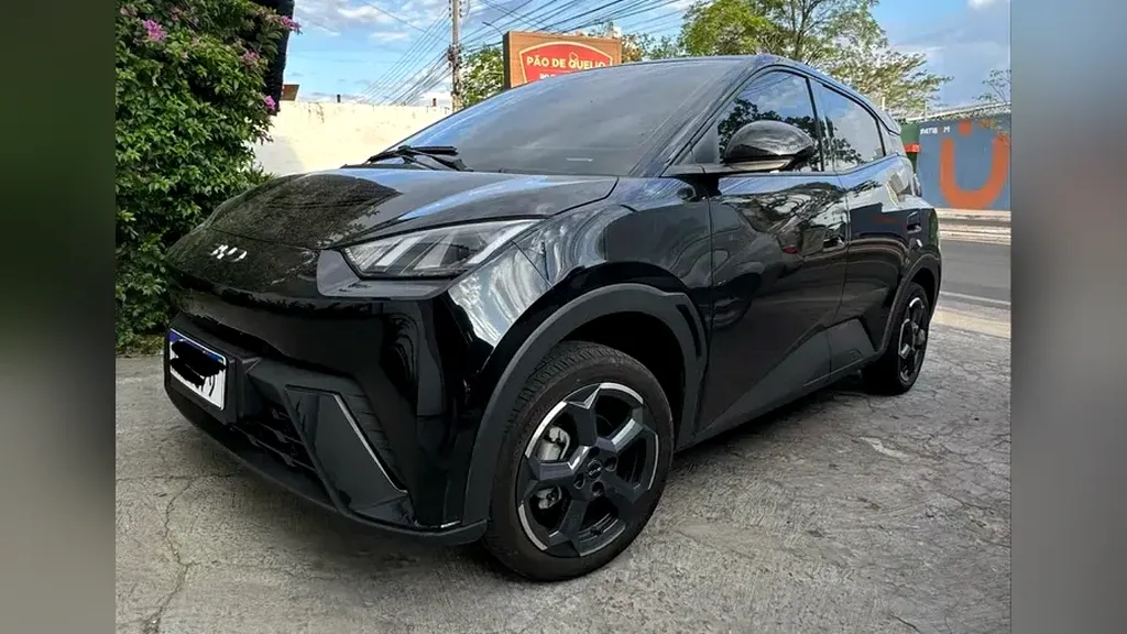 Foto de um byd dolphin mini