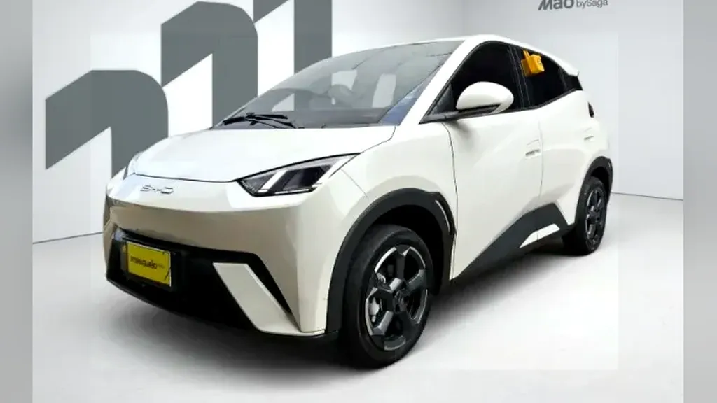 Foto de um byd dolphin mini