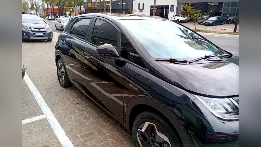 Foto de um byd dolphin