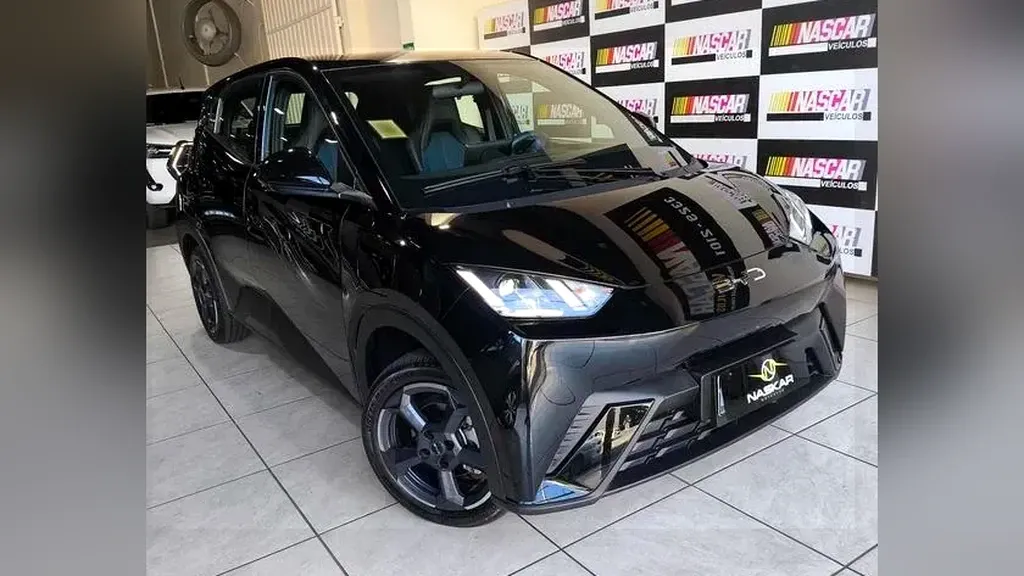 Foto de um byd dolphin mini