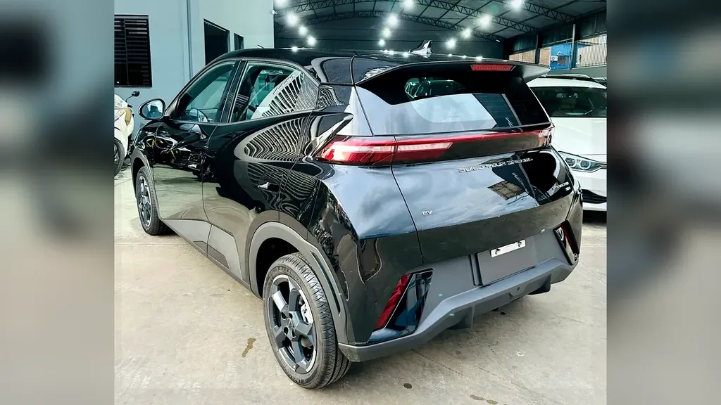 Foto de um byd dolphin