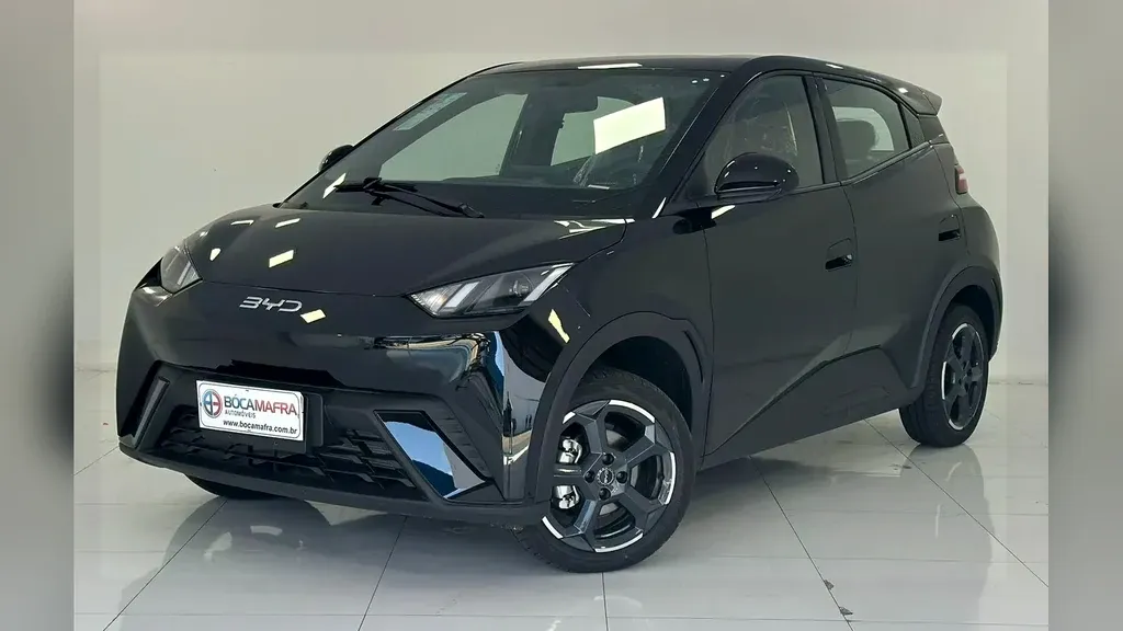 Foto de um byd dolphin mini