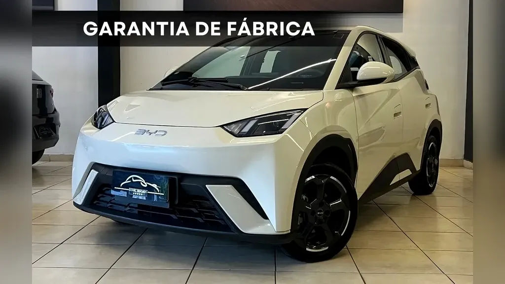 Foto de um byd dolphin