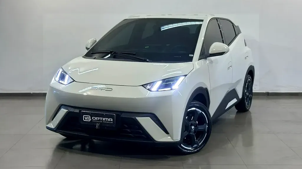 Foto de um byd dolphin