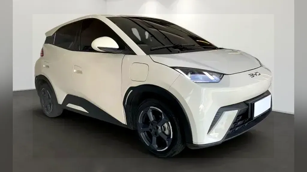 Foto de um byd dolphin mini