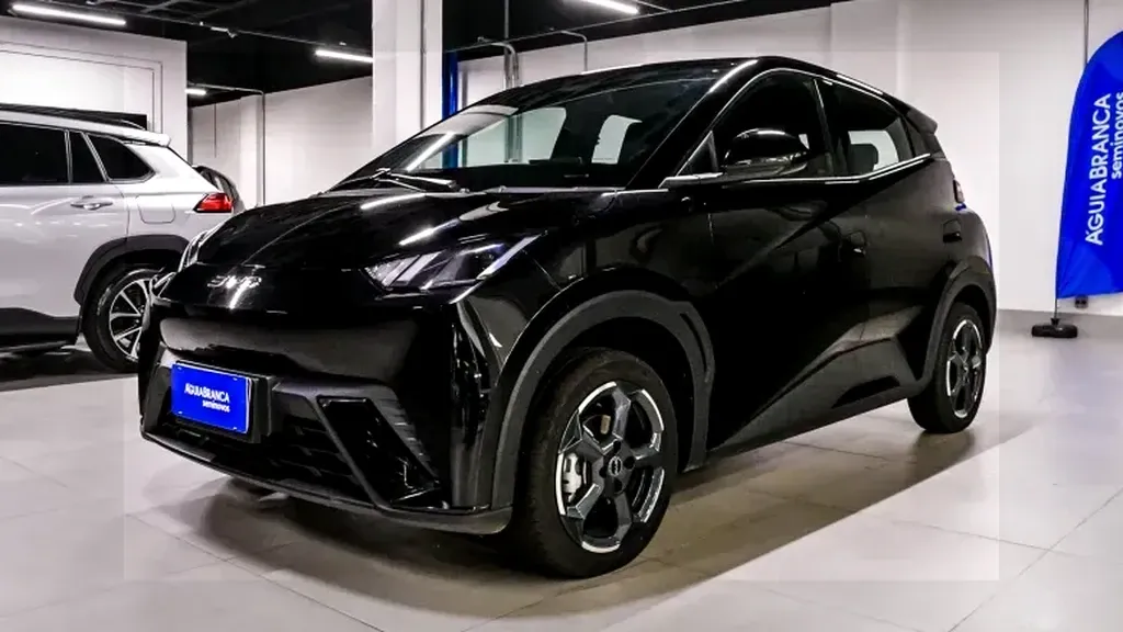 Foto de um byd dolphin mini