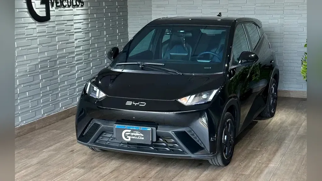 Foto de um byd dolphin mini