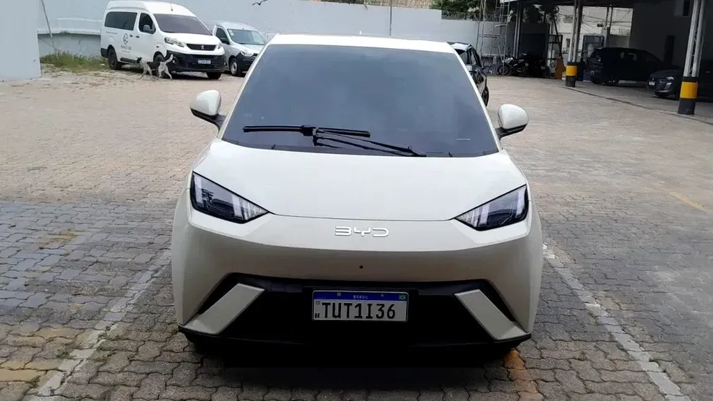 Foto de um byd dolphin mini