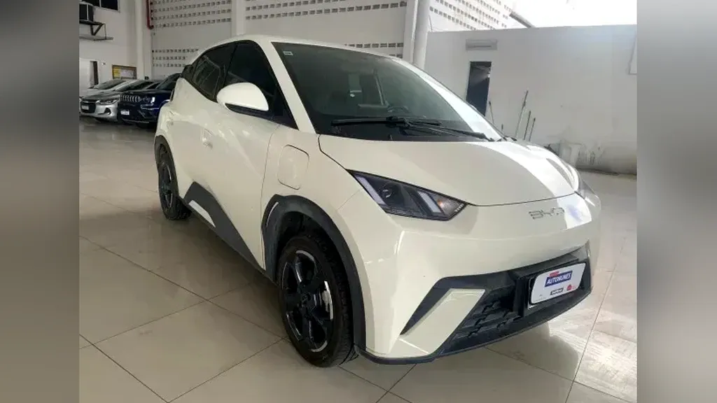 Foto de um byd dolphin mini