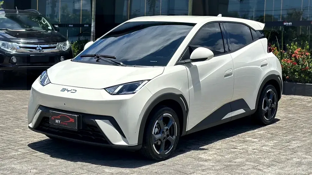 Foto de um byd dolphin mini