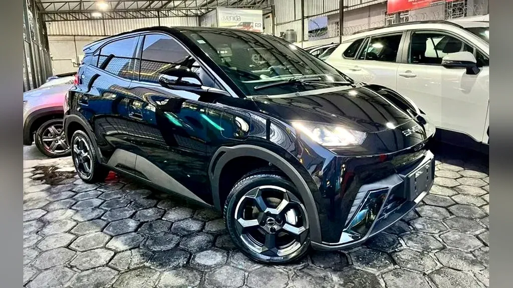 Foto de um byd dolphin