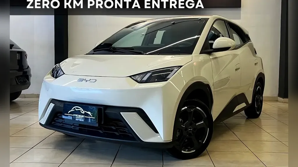 Foto de um byd dolphin mini