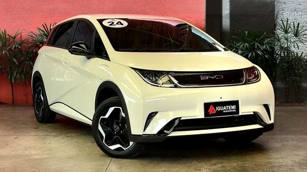 Foto de um byd dolphin