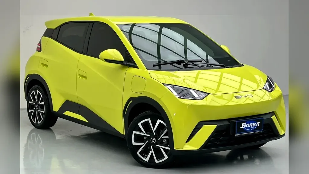 Foto de um byd dolphin mini