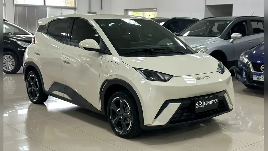 Foto de um byd dolphin mini