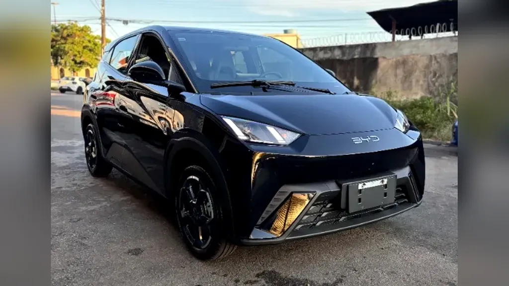 Foto de um byd dolphin mini