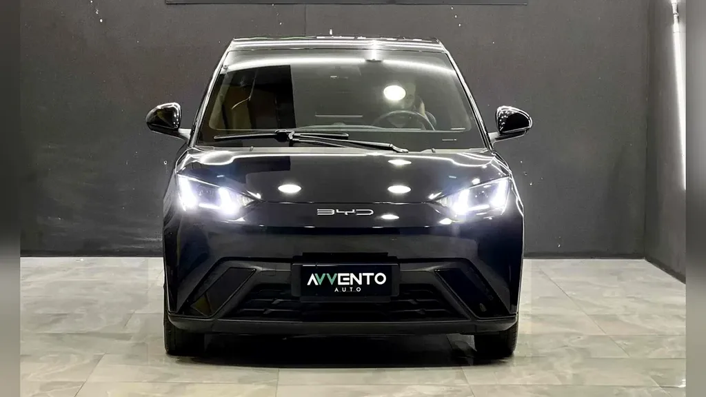 Foto de um byd dolphin