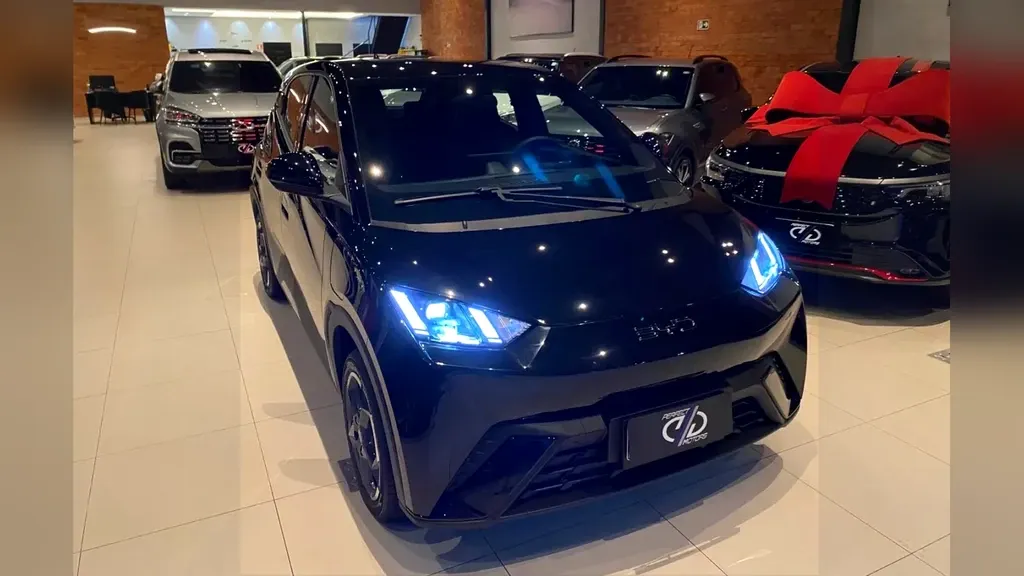 Foto de um byd dolphin