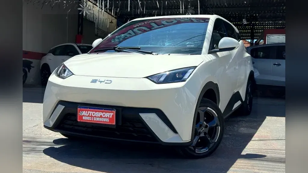 Foto de um byd dolphin mini