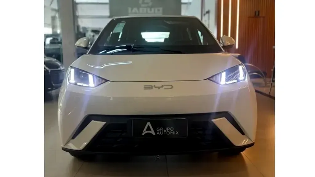 Foto de um byd dolphin mini