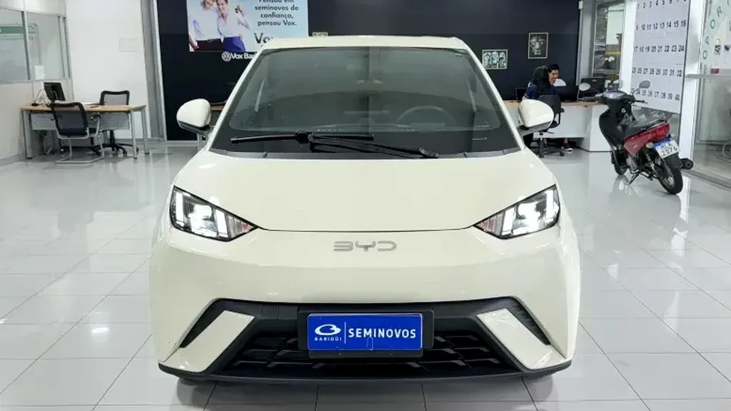 Foto de um byd dolphin mini