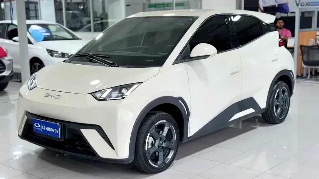 Foto de um byd dolphin mini