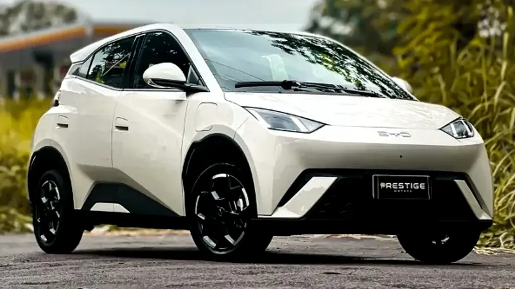 Foto de um byd dolphin mini